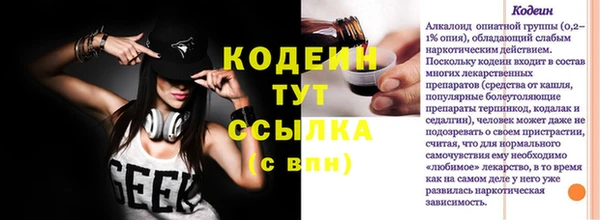 ГАЛЛЮЦИНОГЕННЫЕ ГРИБЫ Краснослободск