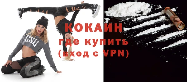 мдпв Бикин