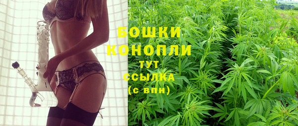 ГАЛЛЮЦИНОГЕННЫЕ ГРИБЫ Краснослободск