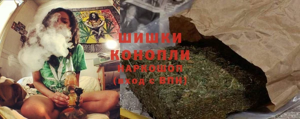 молекула духа Красноперекопск