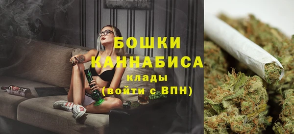 ГАЛЛЮЦИНОГЕННЫЕ ГРИБЫ Краснослободск