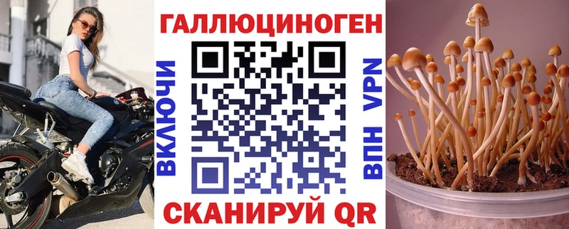 Псилоцибиновые грибы MAGIC MUSHROOMS Рыбное