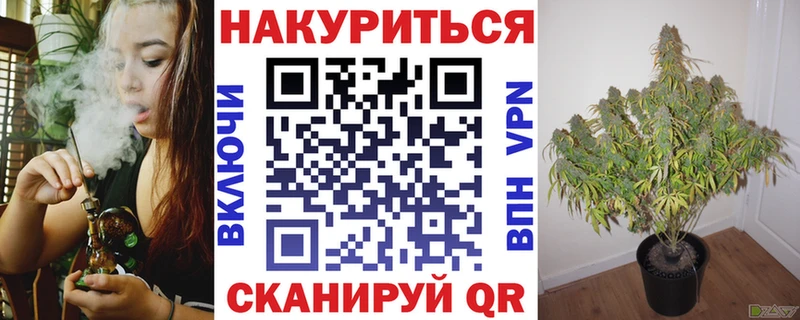 Каннабис сатива  Рыбное 